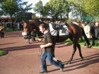 auteuil 5-6112005 unnononito.jpg