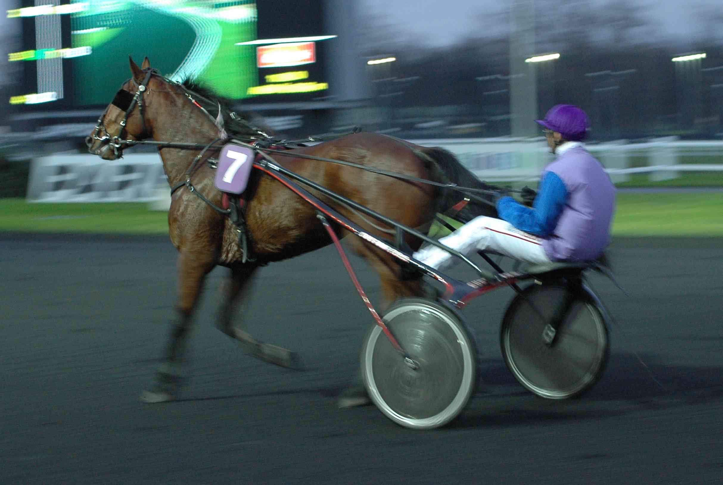 Vincennes 31-12-06 0118a.jpg