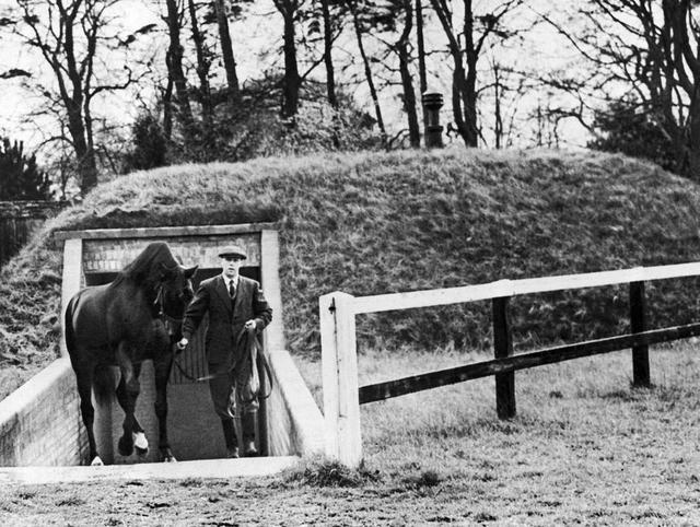 Nearco.jpg