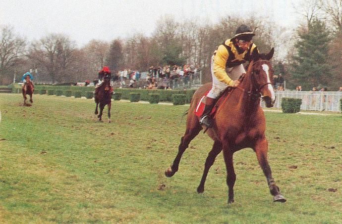 El Triunfo grand steeple de pau.JPG