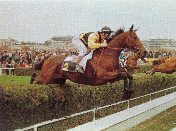 El Triunfo prix Maurice Gillois - grand steeple des 4 ans.JPG