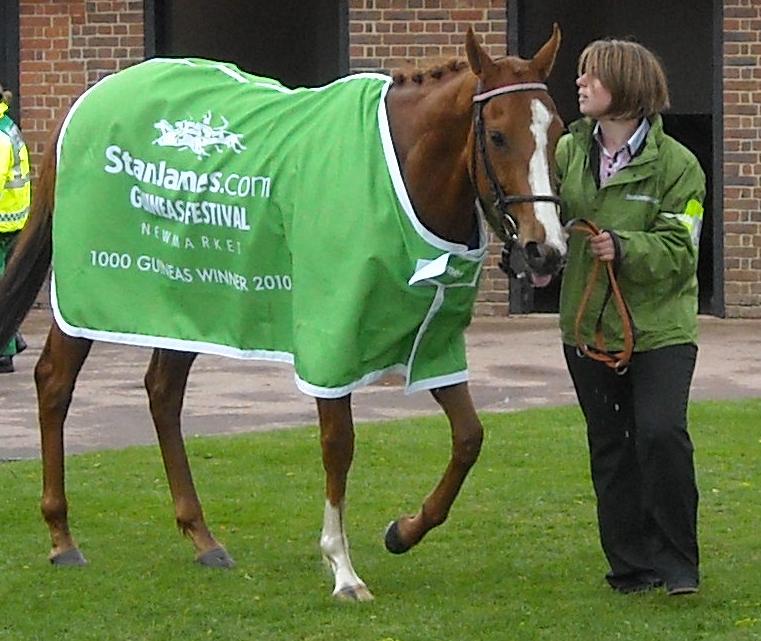 1000Guineas SPECIAL DUTY 4.jpg