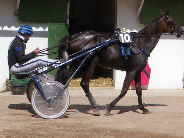 quito d'aveze.jpg