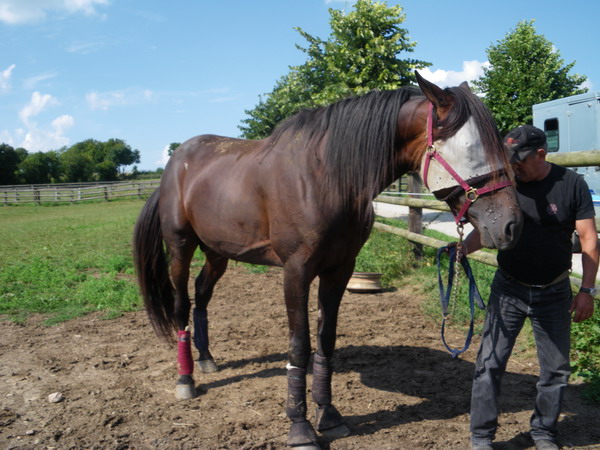 bazire et souloy 2013 034.jpg