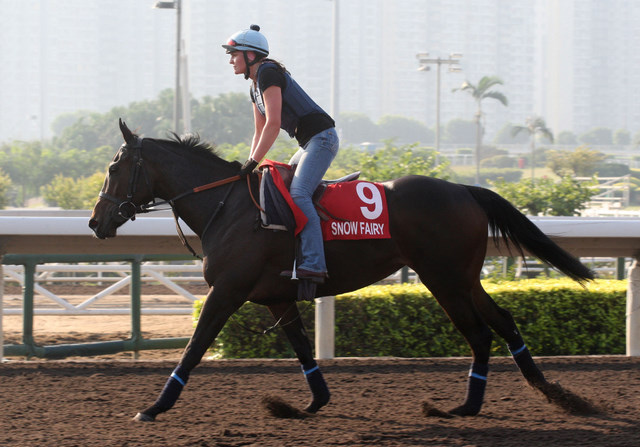 snow fairy cathay pacific hong kong cup.jpg