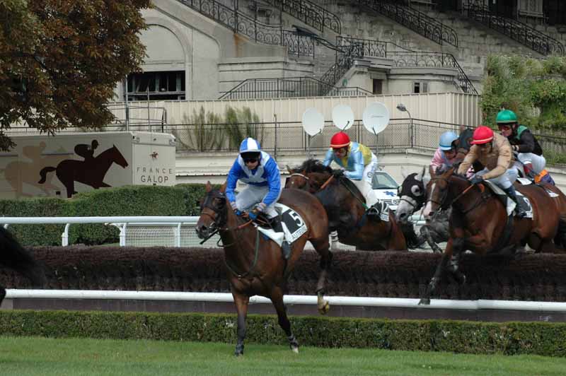 1 Auteuil 04-9-2008 1er Course haie du pavillon.jpg