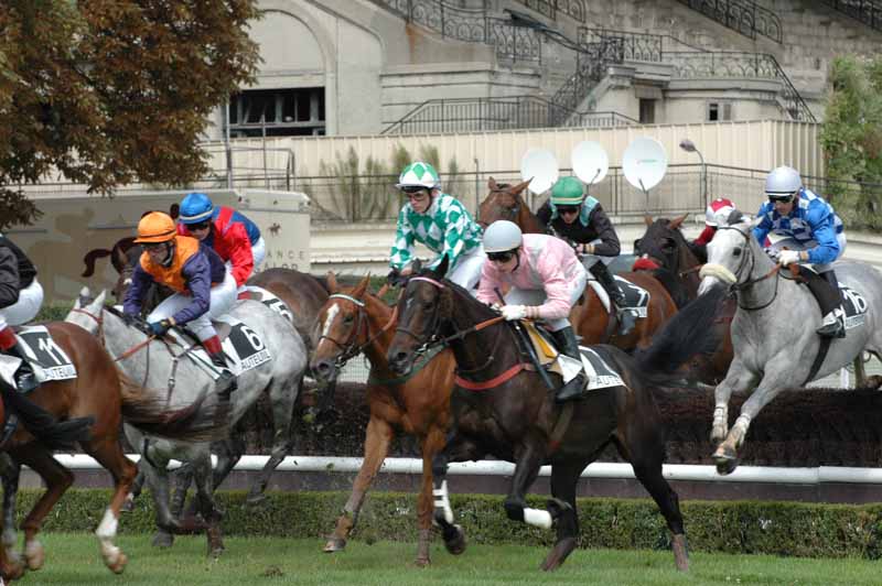 2 Auteuil 04-9-2008 1er Course haie du pavillon.jpg