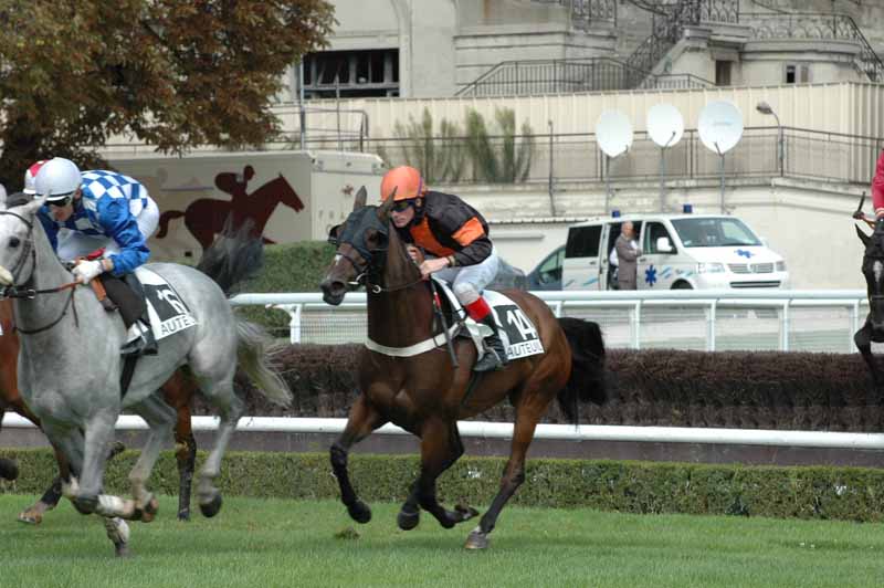 3 Auteuil 04-9-2008 1er Course haie du pavillon.jpg