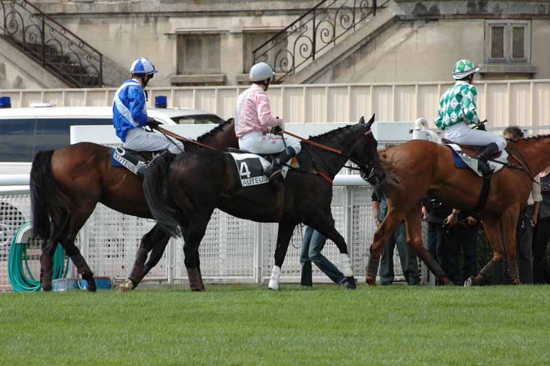 6 Auteuil 04-9-2008 1er Course differents concurrents aprs l'arrive.jpg