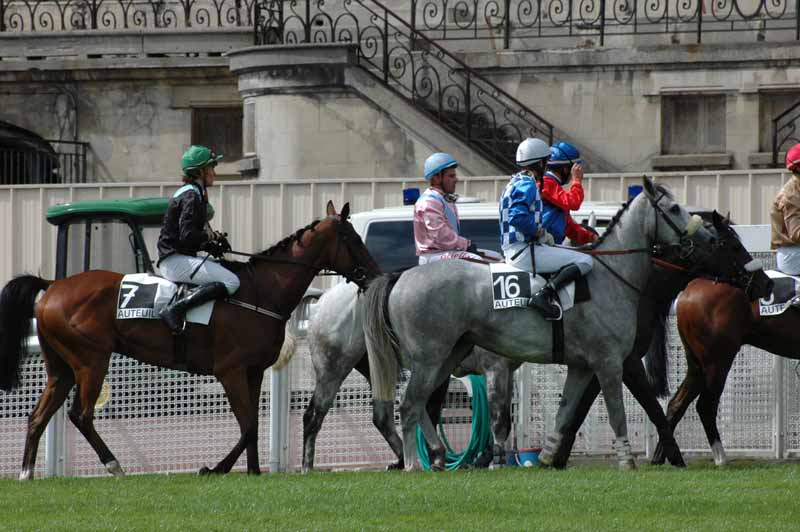 7 Auteuil 04-9-2008 1er Course differents concurrents aprs l'arrive.jpg