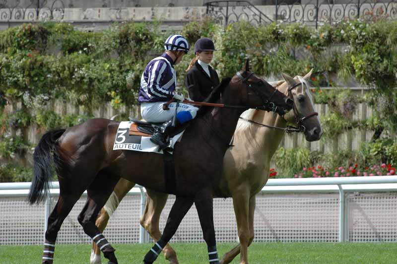 9 Auteuil 04-9-2008 1er Course le vainqueur Mayev.jpg