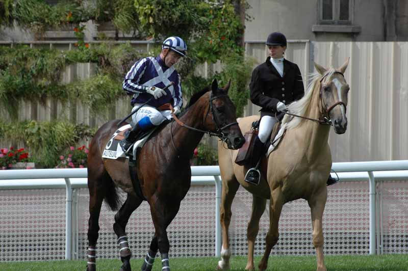 11 Auteuil 04-9-2008 1er Course le vainqueur Mayev.jpg