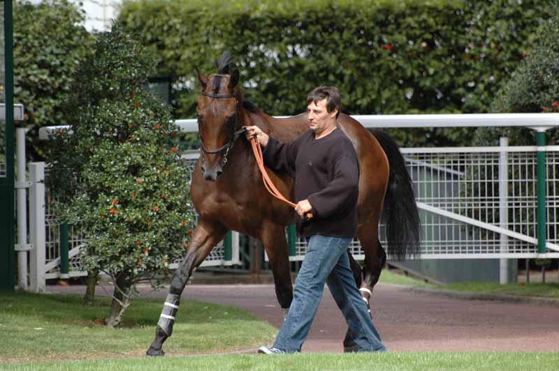 12 Auteuil 04-9-2008 1er Course Mayev aprs l effort.jpg