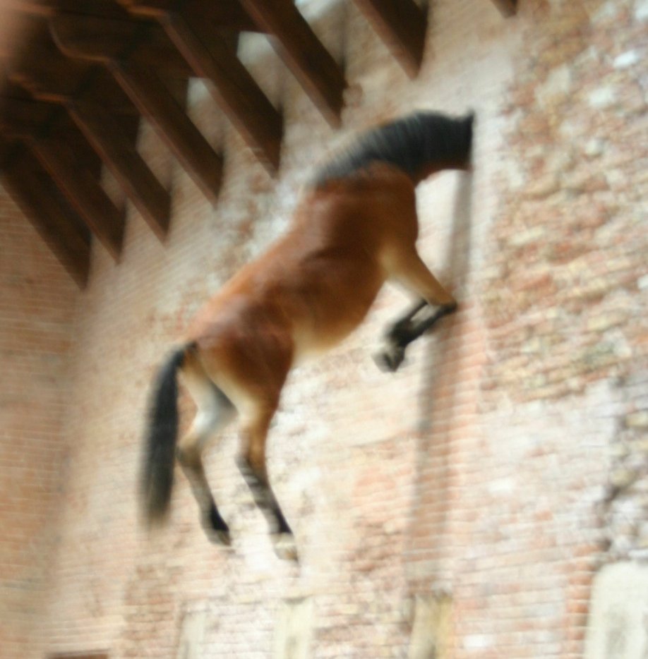 Droit dans le mur.jpg