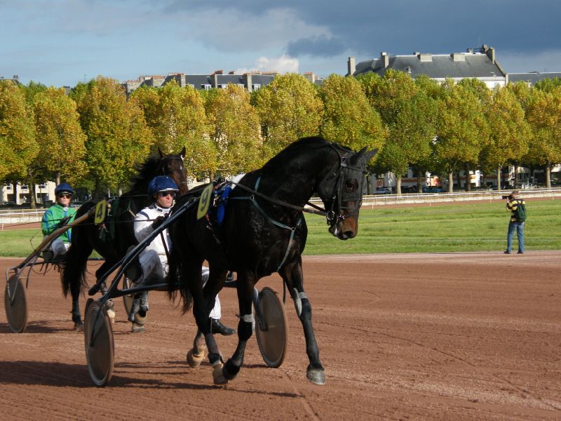 prix de la ville de caen (new des landes et number majyc) 065 [800x600].jpg