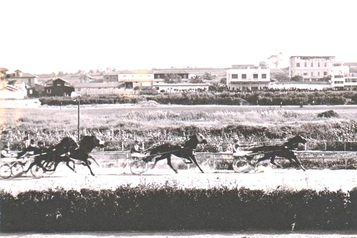 Hippodrome d'Alger 3.jpg